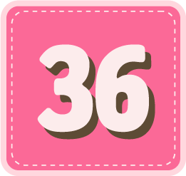 Talle 36